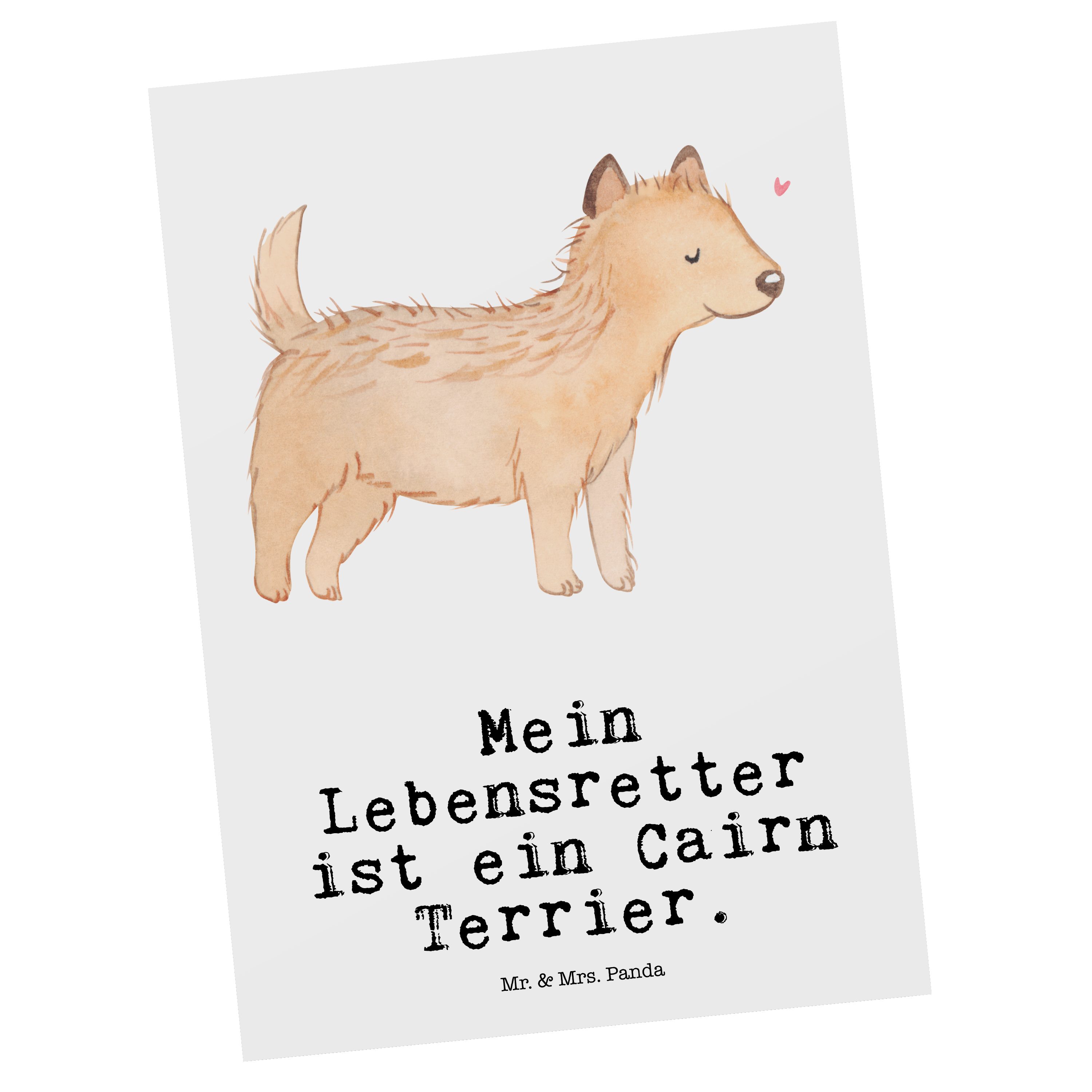 Mr. & Mrs. Panda Postkarte Cairn Terrier Lebensretter - Weiß - Geschenk, Karte, Geburtstagskarte