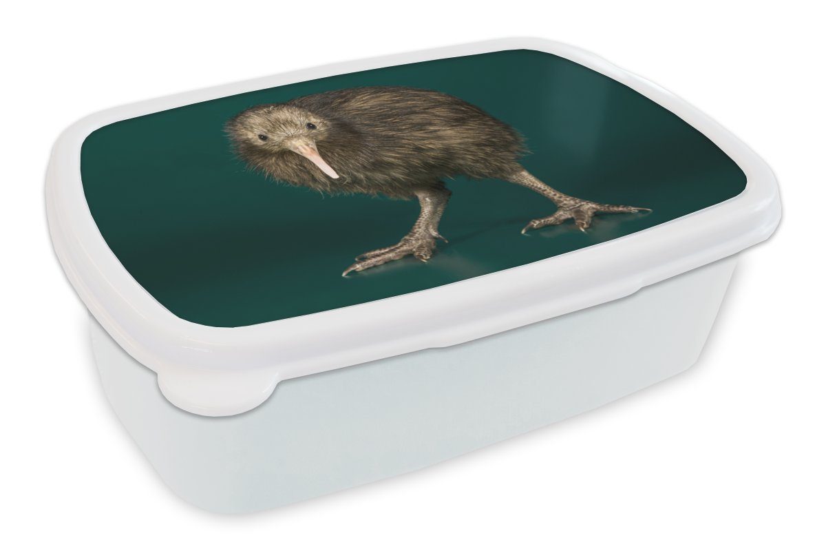 und Kiwi - Vogel für Kunststoff, MuchoWow Mädchen Brotdose, (2-tlg), Lunchbox Brotbox Jungs weiß - Erwachsene, Grün, und Kinder für