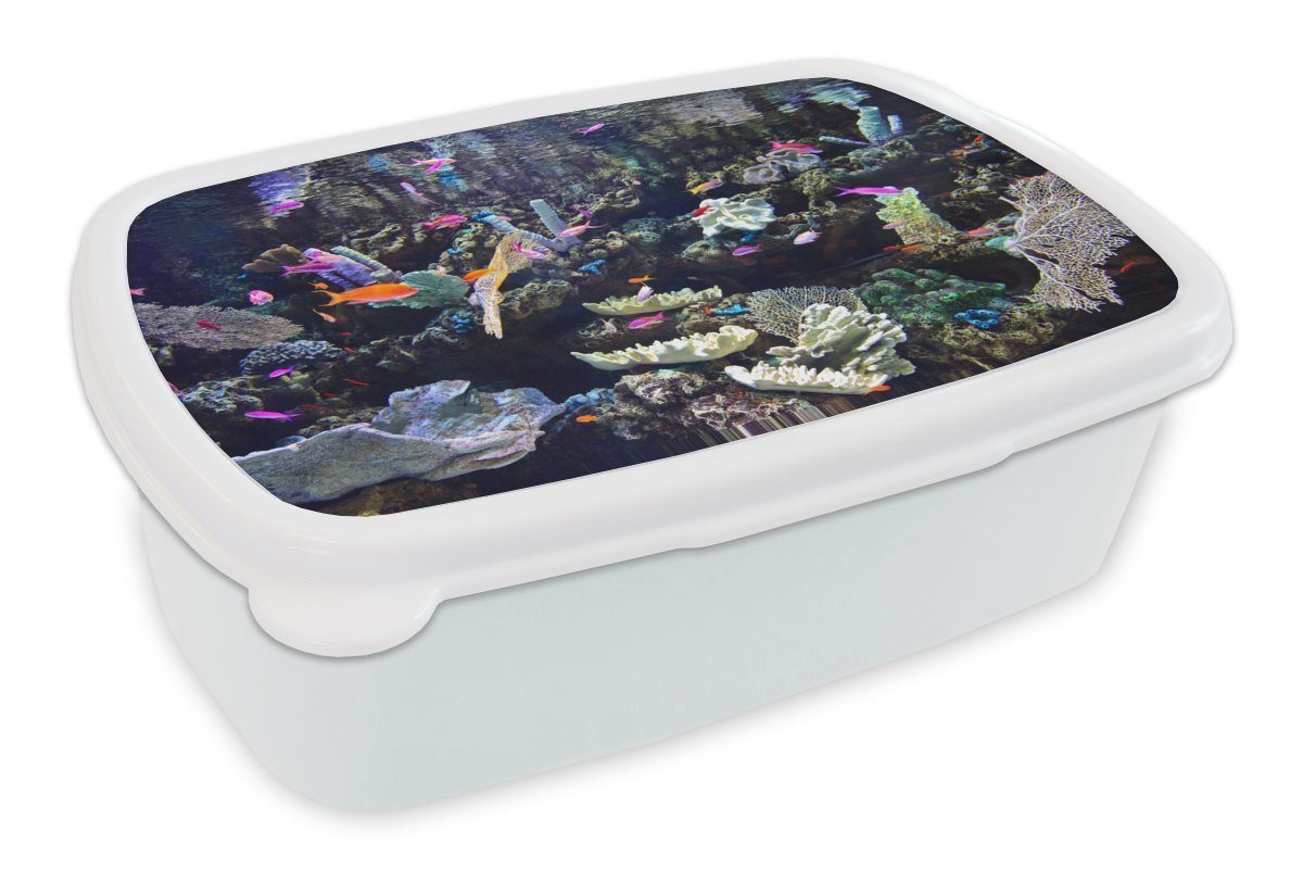 MuchoWow Lunchbox Buntes Aquarium, Kunststoff, (2-tlg), Brotbox für Kinder und Erwachsene, Brotdose, für Jungs und Mädchen weiß