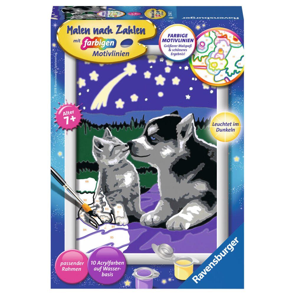 Ravensburger Malen nach Zahlen Hund und Katze