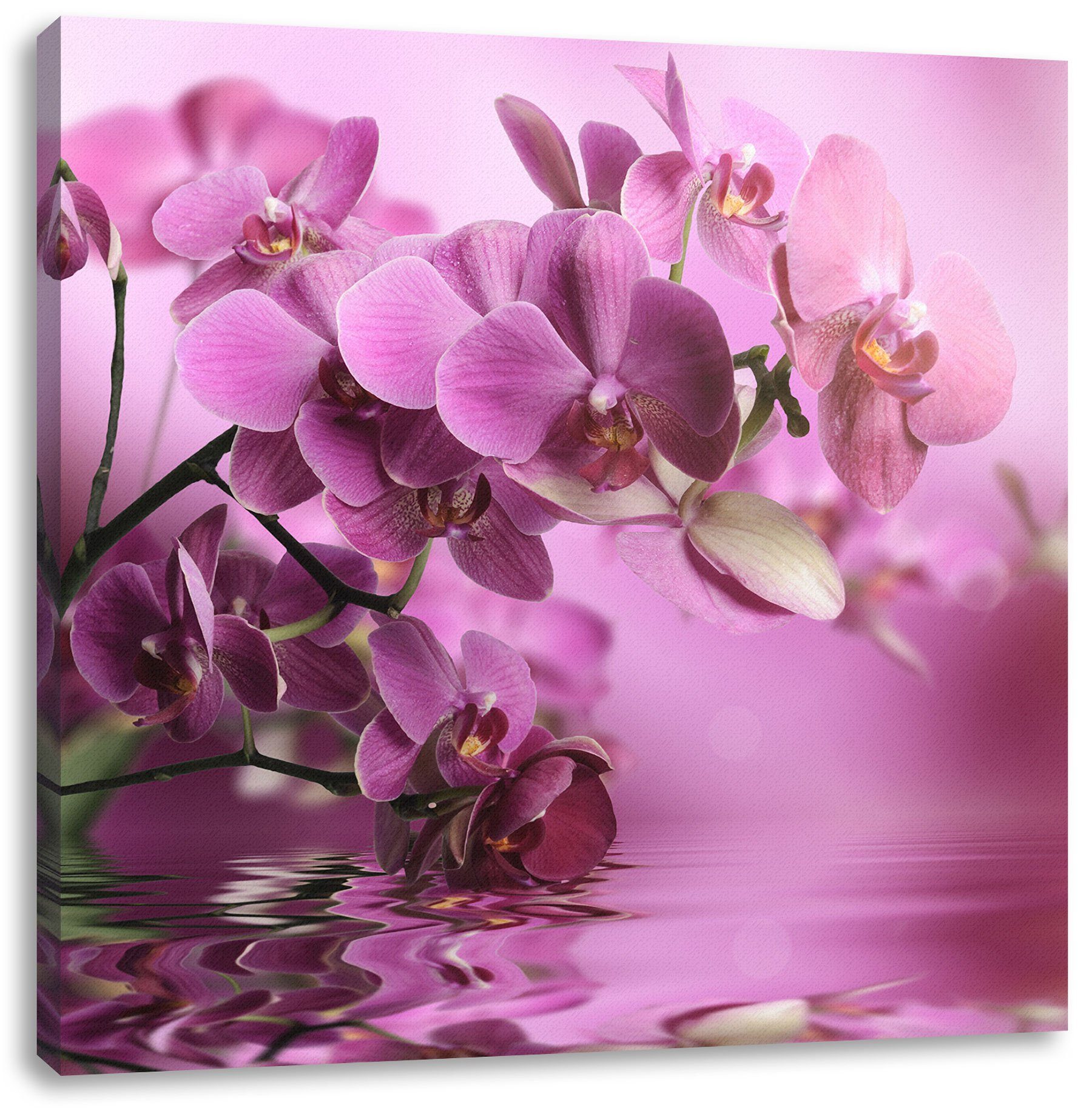 Pixxprint Leinwandbild Wunderschöne Orchideenblüten, Wunderschöne fertig (1 Leinwandbild Zackenaufhänger bespannt, St), Orchideenblüten inkl