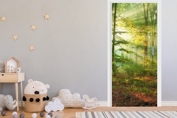 MuchoWow Türtapete Sonne - Wald - Bäume - Natur - Herbst, Matt, bedruckt, (1 St), Fototapete für Tür, Türaufkleber, 75x205 cm