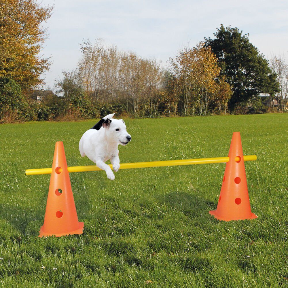 Schecker Agility-Hürde Pylonen-Hürde für Agility, Kunststoff, (3-tlg)