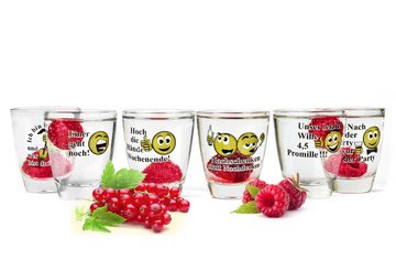 Sendez Schnapsglas 6 Schnapsgläser mit Sprüchen Shots Stamper Wodkagläser Barrel, Glas