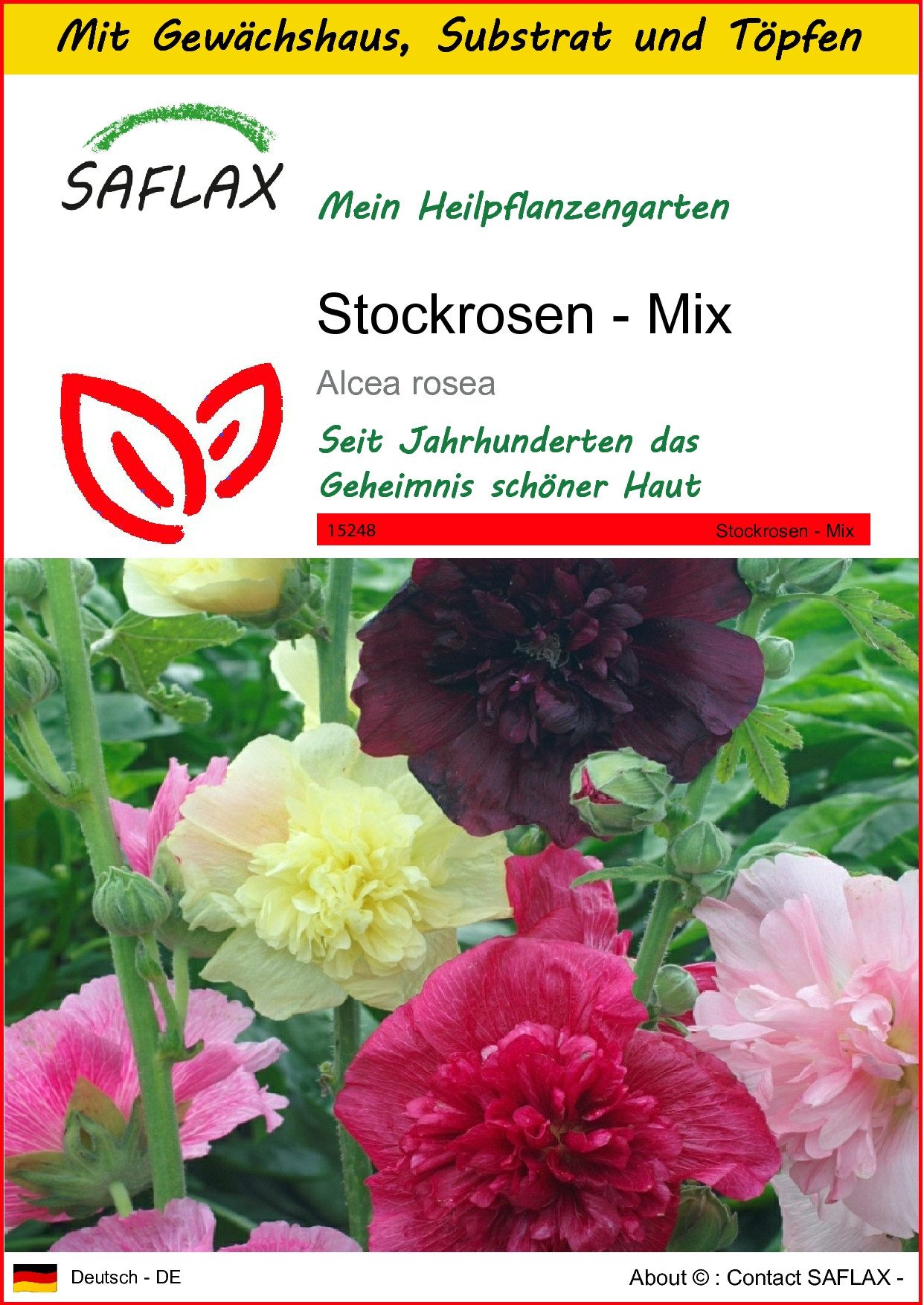 Blumensamen SAFLAX - Anzuchtset - Stockrosen - Mix