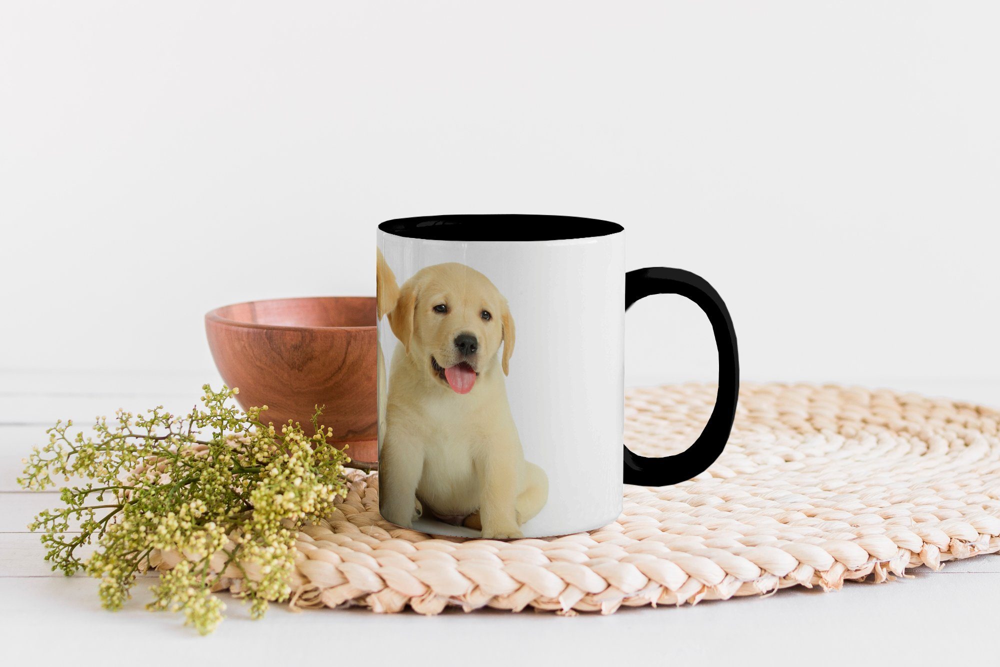 MuchoWow Tasse Drei weiße Welpen Farbwechsel, Kaffeetassen, in Geschenk Zaubertasse, einer Teetasse, Keramik, Reihe