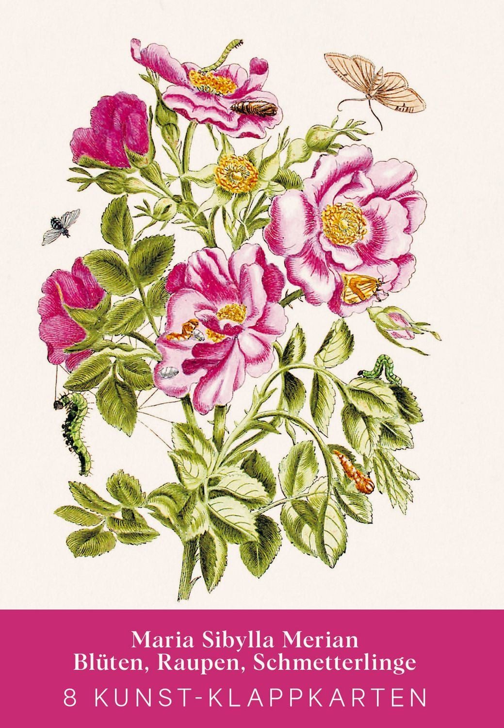 Maria Sibylla Merian – Acht Kunst-Klappkarten / diverse