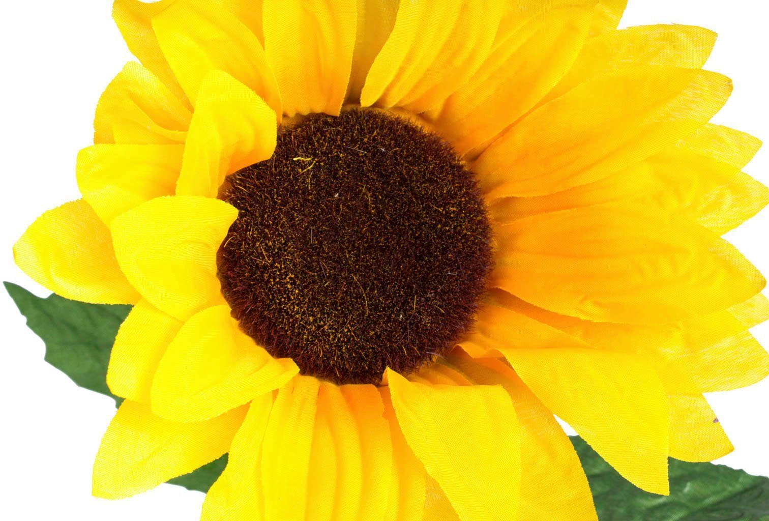 Sonnenblume Sonnenblume, Höhe 87 Kunstblume Botanic-Haus, cm