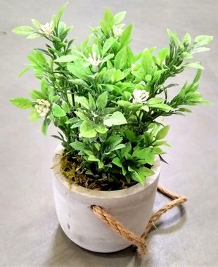 Kunstpflanze Zimmerpflanze, Atmosphera Créateur d'intérieur, Höhe 25 cm