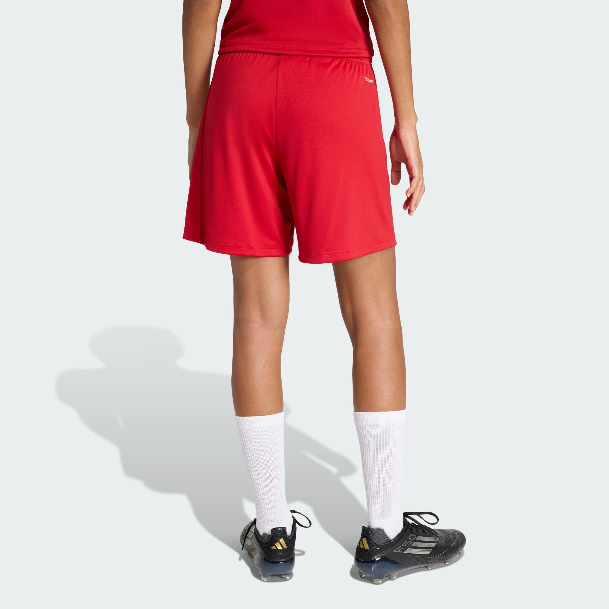 adidas Performance Shorts ENTRADA26 SHORTS (1-tlg)