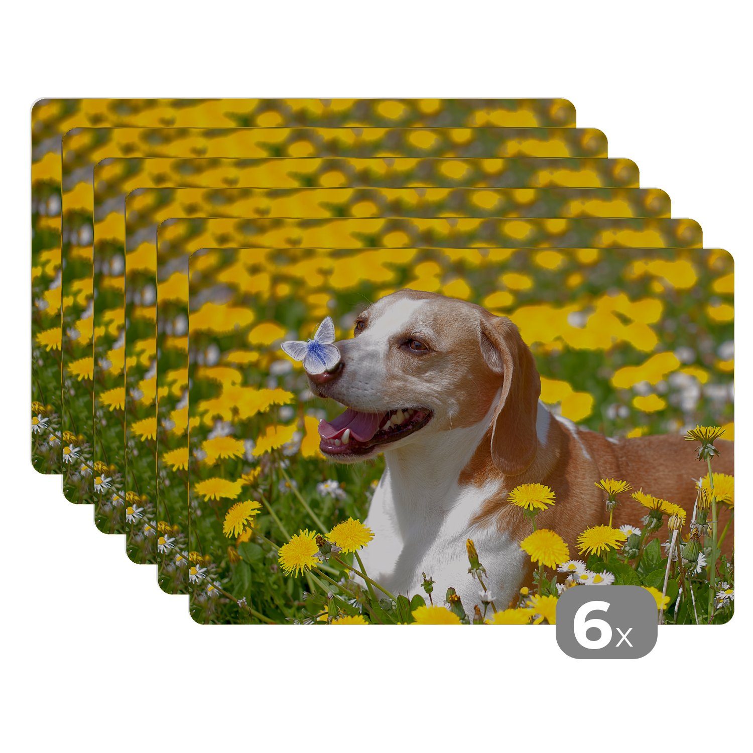 Platzset, Schmetterling auf der Nase eines Beagles, MuchoWow, (6-St), Platzset, Platzdecken, Platzmatte, Tischmatten, Schmutzabweisend | Tischsets