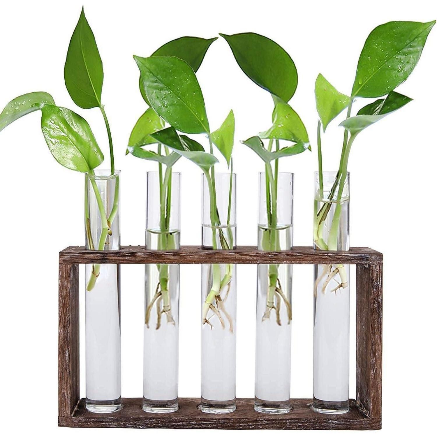 LuxusKollektion Tischvase Reagenzglas Vase mit 5 Rohren für Hydrokultur Pflanzen Vintage Glas