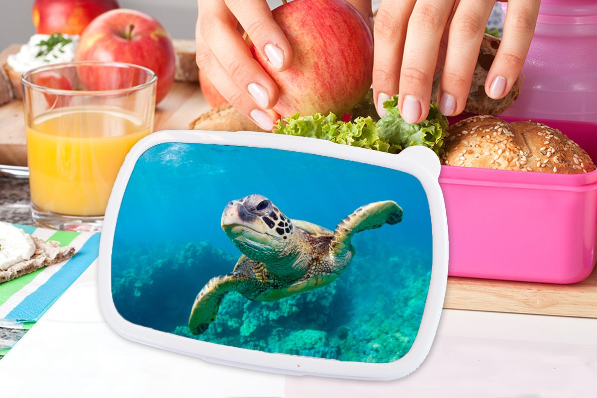 Kunststoff, Schildkröte Lunchbox Eine für Hawaii, das Kunststoff Korallenriff Erwachsene, Snackbox, Mädchen, (2-tlg), MuchoWow Brotbox vor durch Kinder, schwimmt Brotdose rosa