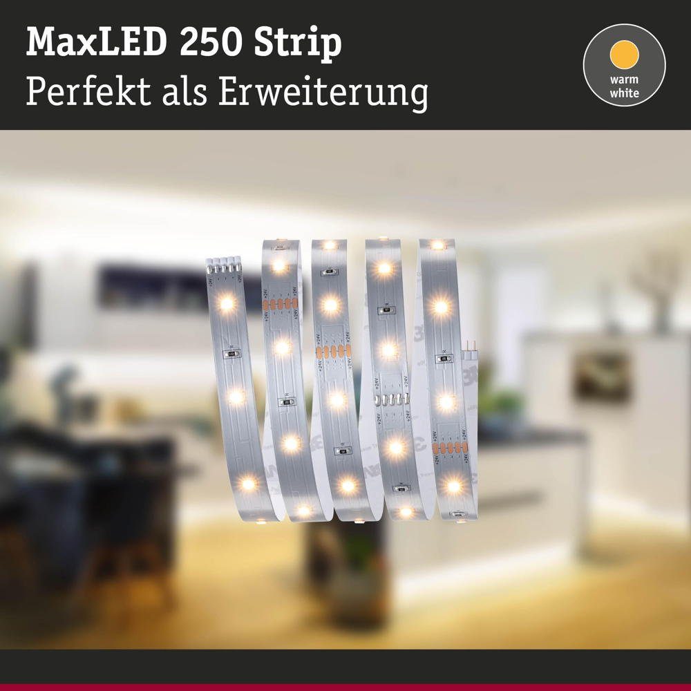 Strip 4W LED Silber Paulmann MaxLED LED 2700K in 1000mm, 300lm Streifen LED Erweiterung 1-flammig, Stripe