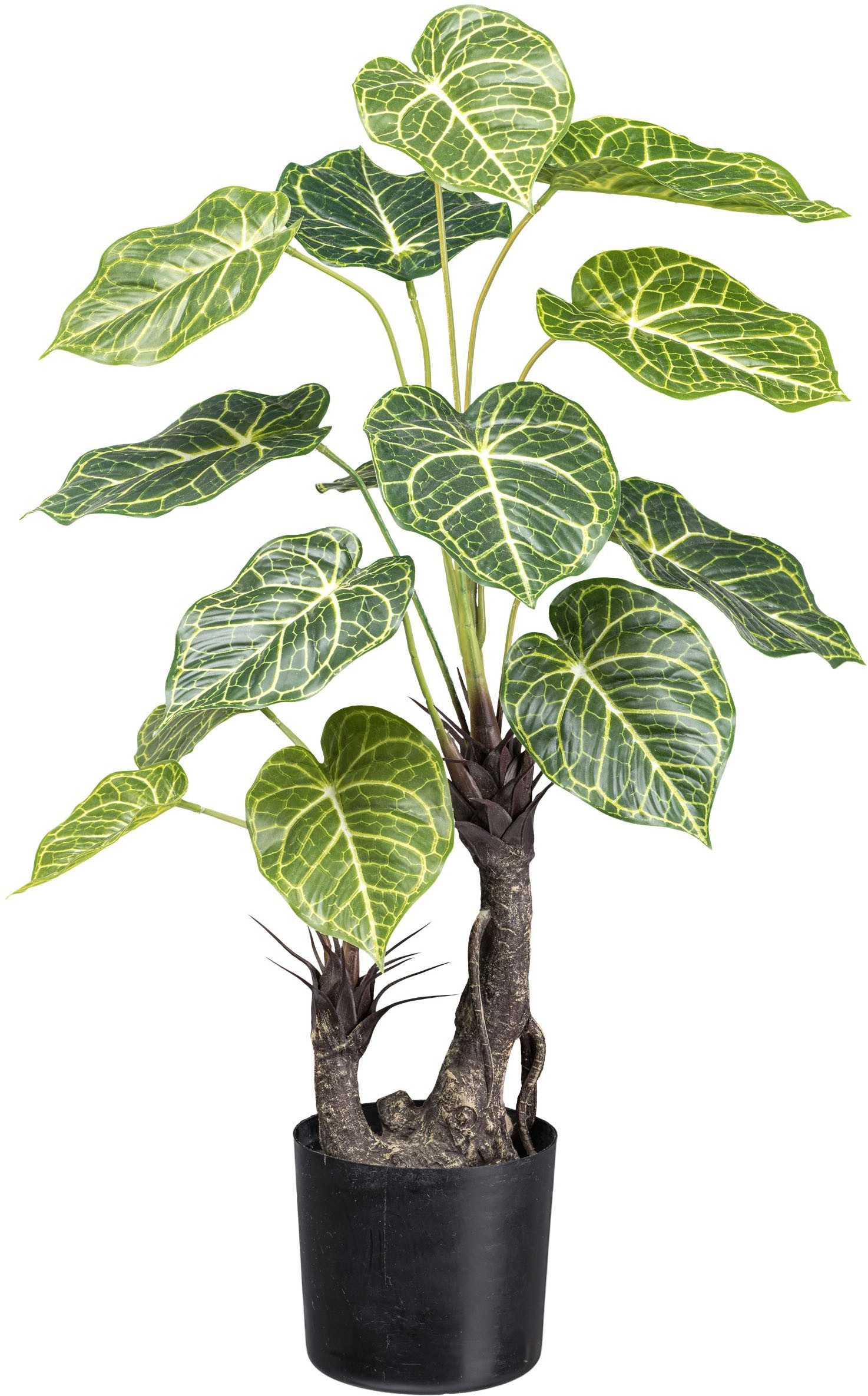 Kunstpalme Nephtytispflanze Grünpflanze, Creativ green, Höhe 70 cm, mit großen Blättern