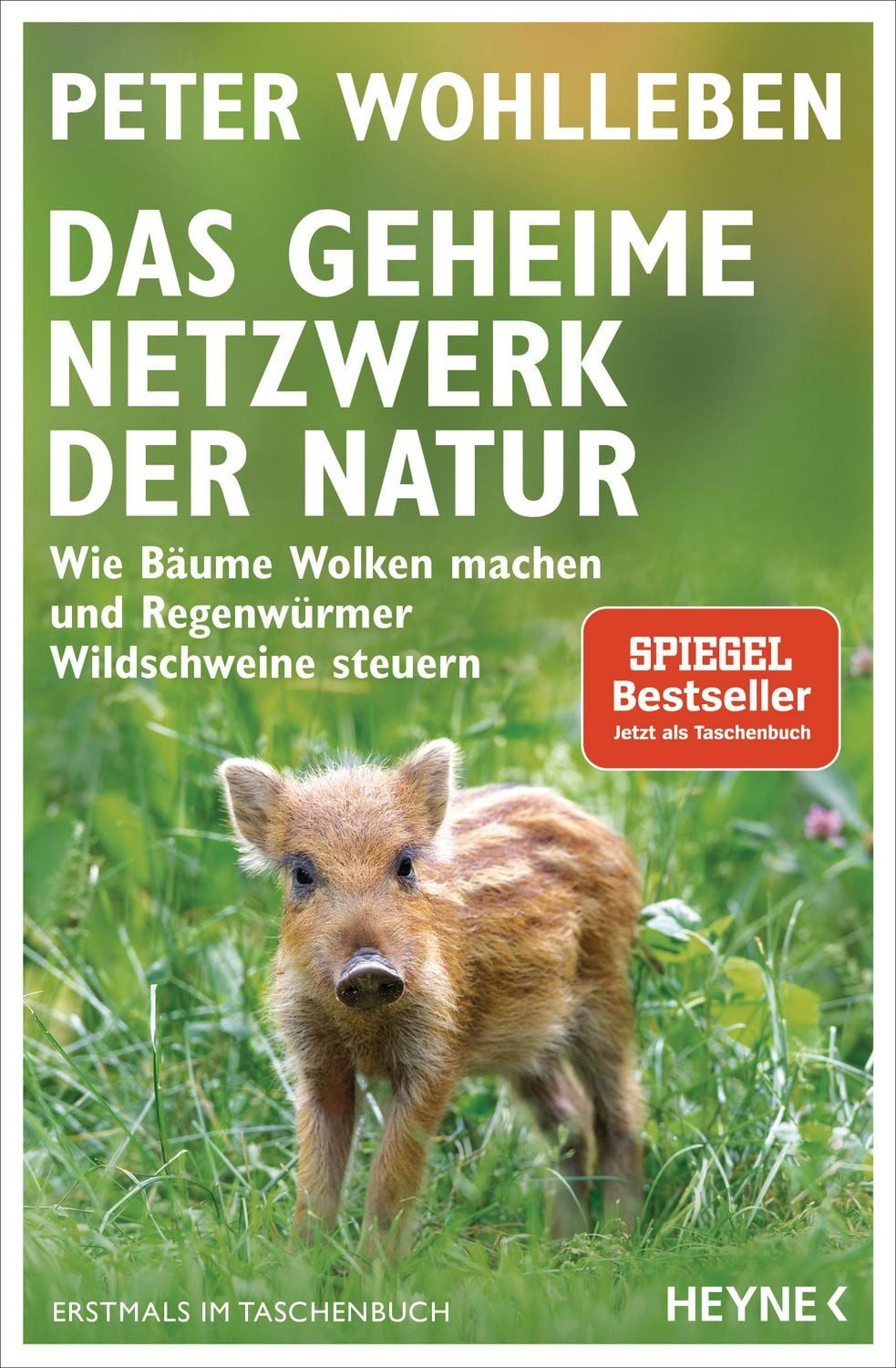 Sachbuch Das geheime Netzwerk der Natur Wie Bäume Wolken machen und Regenwürmer Peter Wohlleben