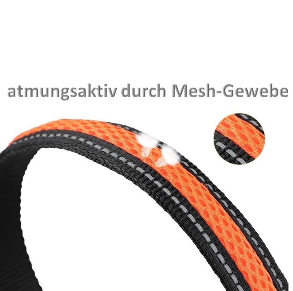 Illes-Laedchen Hunde-Halsband LED Hundehalsband USB wiederaufladbar – wasserdichtes Leuchthalsband, für Hunde mit 3 Leuchtmodi, reflektierend & langlebig