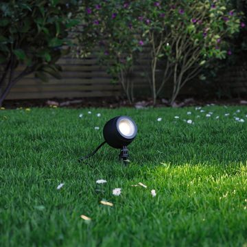 Paulmann LED Gartenstrahler LED Erdspießstrahler Kikolo in Anthrazit 8W 500lm IP65 60°, keine Angabe, Leuchtmittel enthalten: Ja, fest verbaut, LED, warmweiss, Außenstrahler