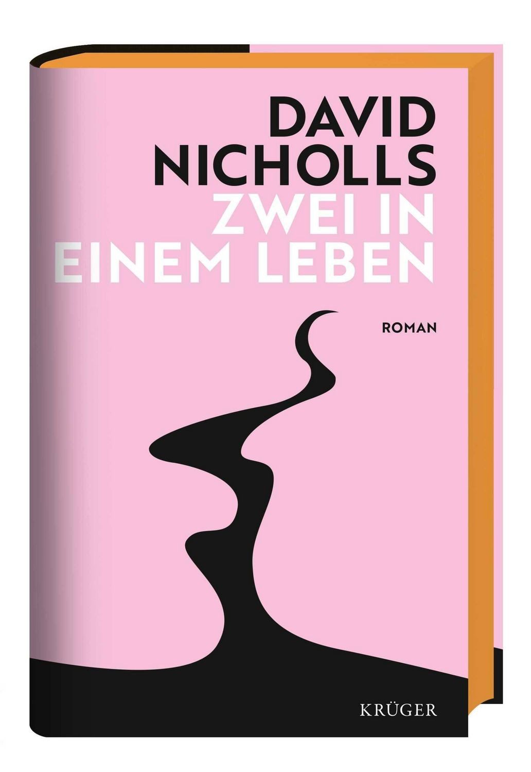 Zwei in einem Leben / David Nicholls