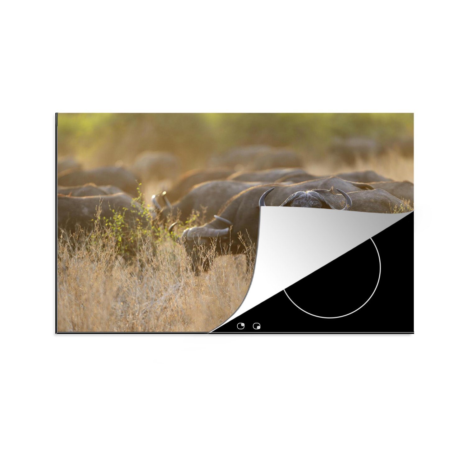 MuchoWow Herdblende-/Abdeckplatte Eine Büffelherde in den Savannen des South Luangwa National Park, Vinyl, (1 tlg), 81x52 cm, Induktionskochfeld Schutz für die küche, Ceranfeldabdeckung
