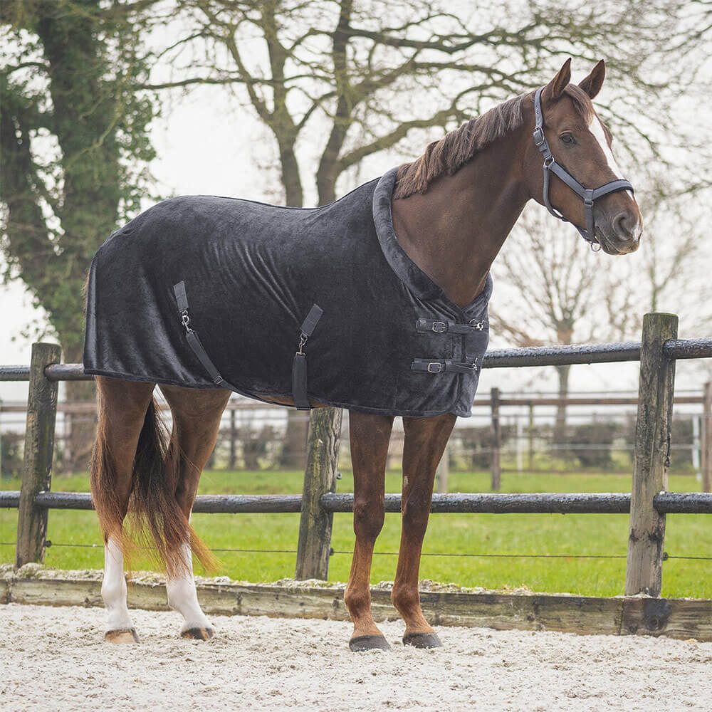 QHP Pferde-Abschwitzdecke QHP Showdecke Sensisoft