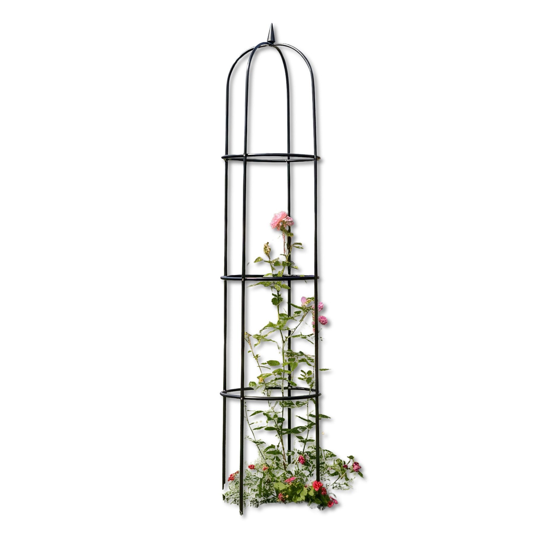 Dekoleidenschaft Rankhilfe "Krone" Metall grün Ø 40 x 200 cm, Rankgitter für Kletterpflanzen, Pflanzenstütze, Rankenhilfe, Blumenstütze, Kletterhilfe