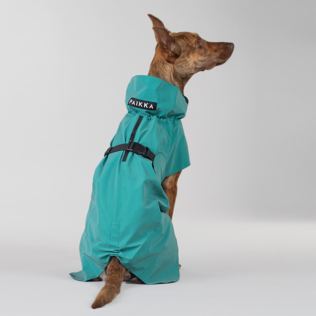 PAIKKA Hunderegenmantel Hunde Regenmantel reflektierend "Visibility Raincoat" Emerald
