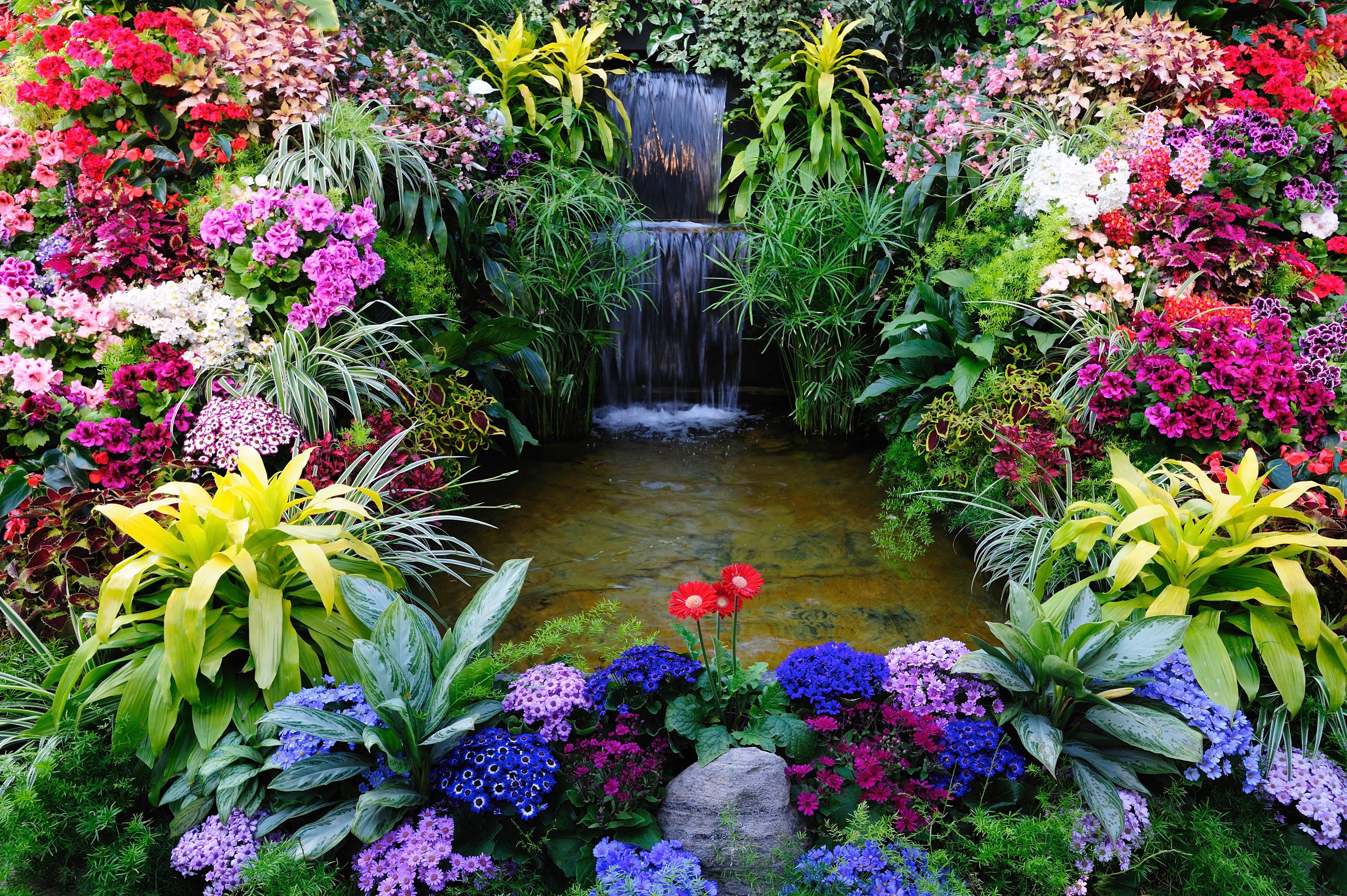 Papermoon Fototapete BLUMEN LAGUNE WASSERFALL