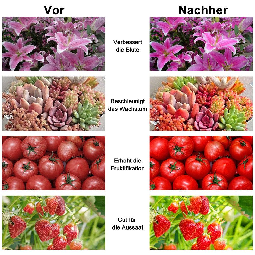 Qualra Pflanzenlampe 81-312LEDs LED Pflanzenlampe Vollspektrum Grow Lampe mit UV IR, für Zimmerpflanzen Gewächshaus Blumenanbau Gemüse – Bild 5 von 5
