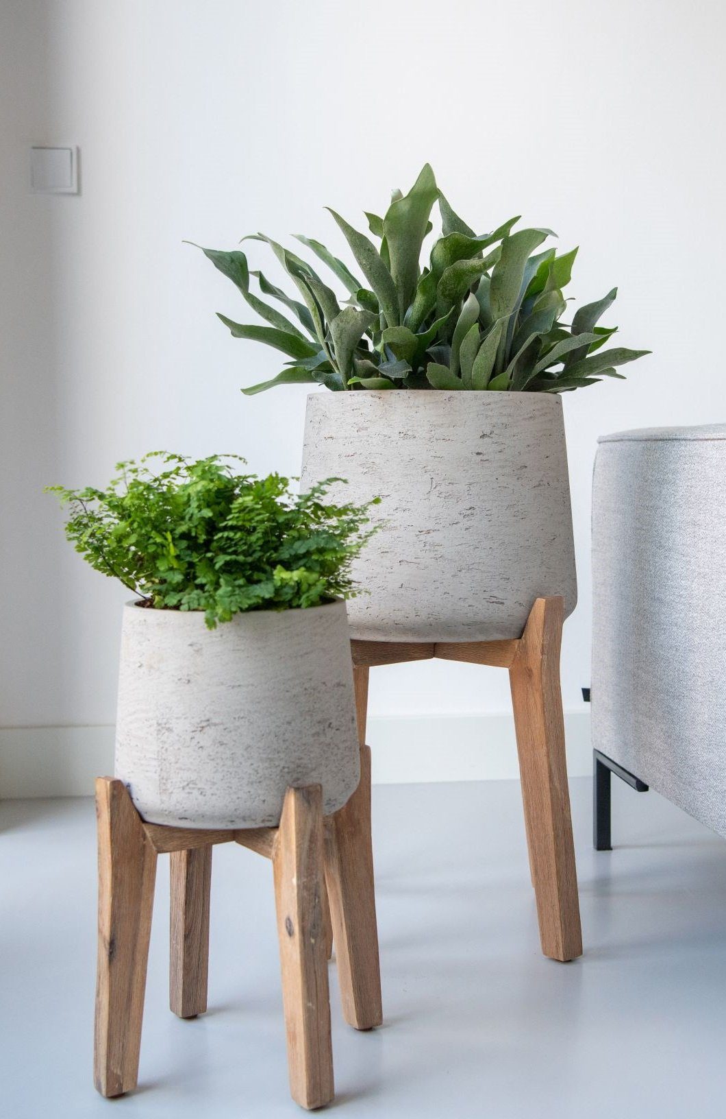 finestgreen Pflanzkübel Patt Feet High günstig online kaufen