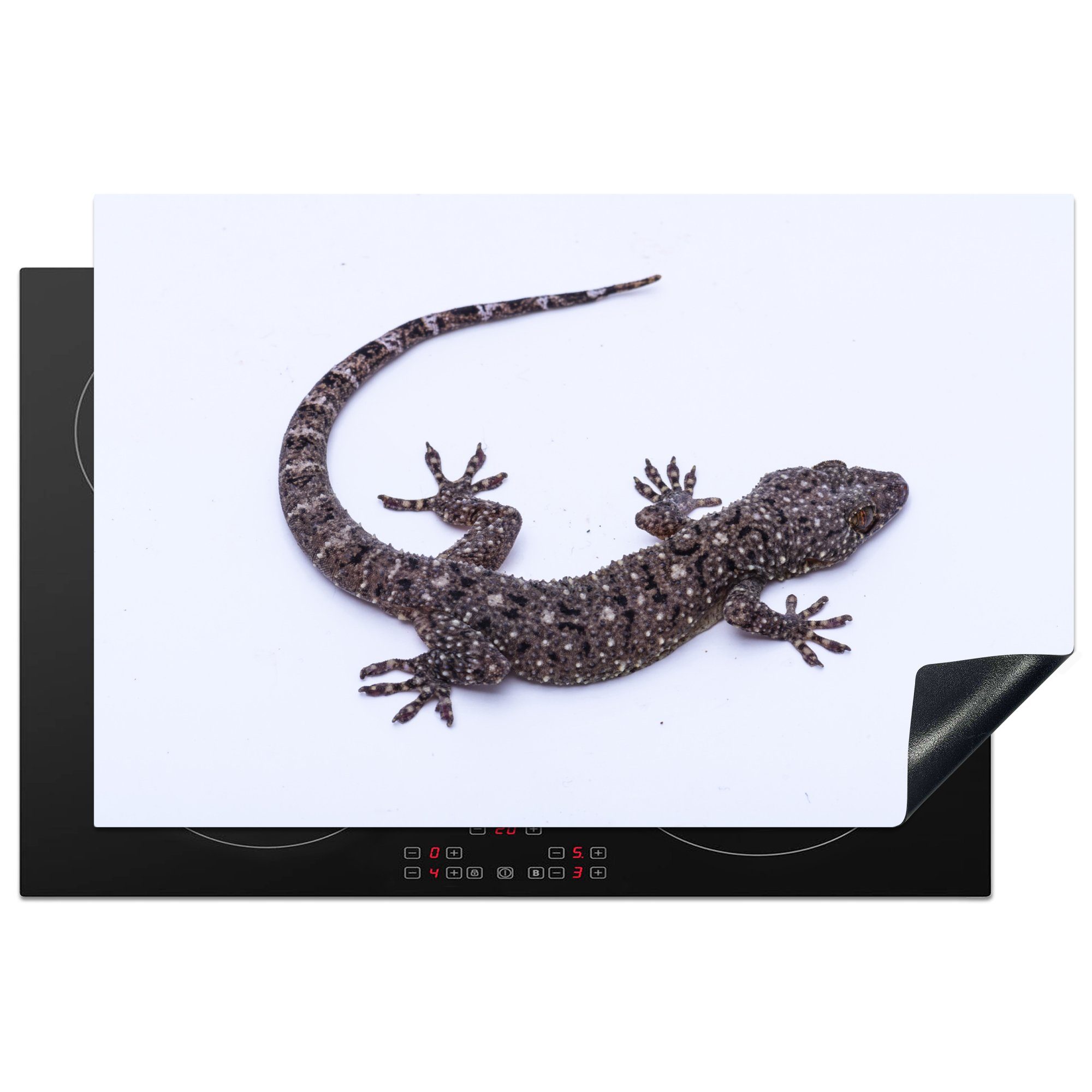 Brooks MuchoWow Ceranfeldabdeckung tlg), für cm, 81x52 Herdblende-/Abdeckplatte gecko, (1 Schutz küche, tjitjak die Vinyl, Induktionskochfeld