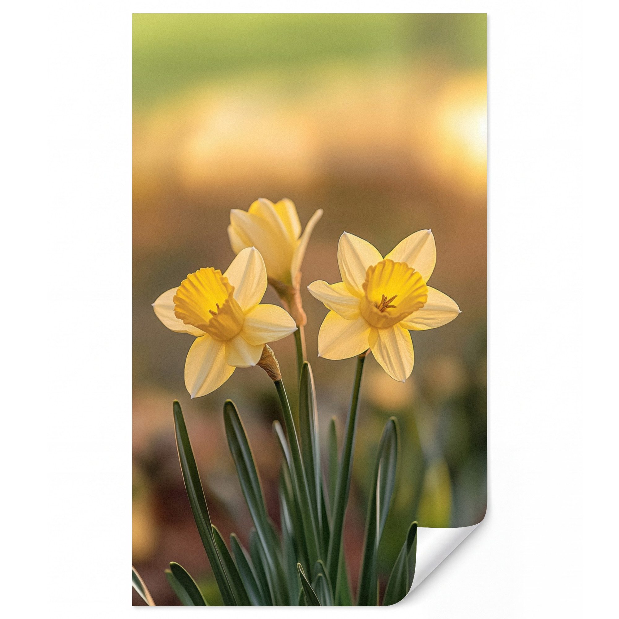 OnlyWow Fototapete Blumen - Gelb - Unscharf, Matt, bedruckt, Wandtapete, bedruckt, Schlafzimmer 120x200cm