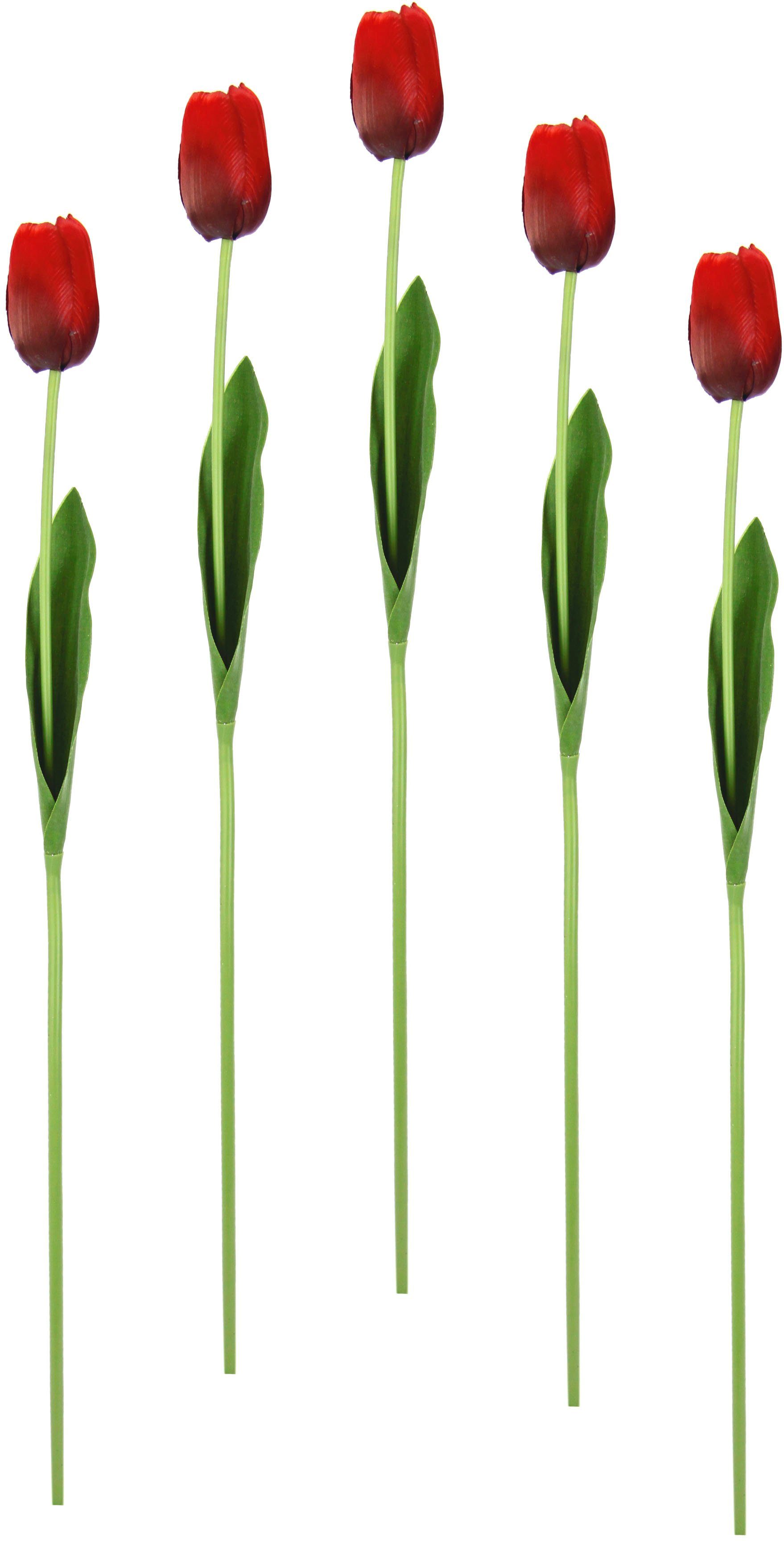 künstliche Tulpen, rot 67 cm, Tulpenknospen, Kunstblumen, I.GE.A., Set Real Höhe Kunstblume 5er Stielblume Touch