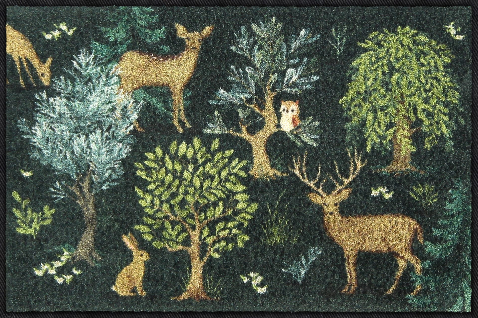 Salonloewe Fußmatte Eingangsmatte 50x75 Forest Moments, Eingangsmatte normal, Höhe: 500 mm