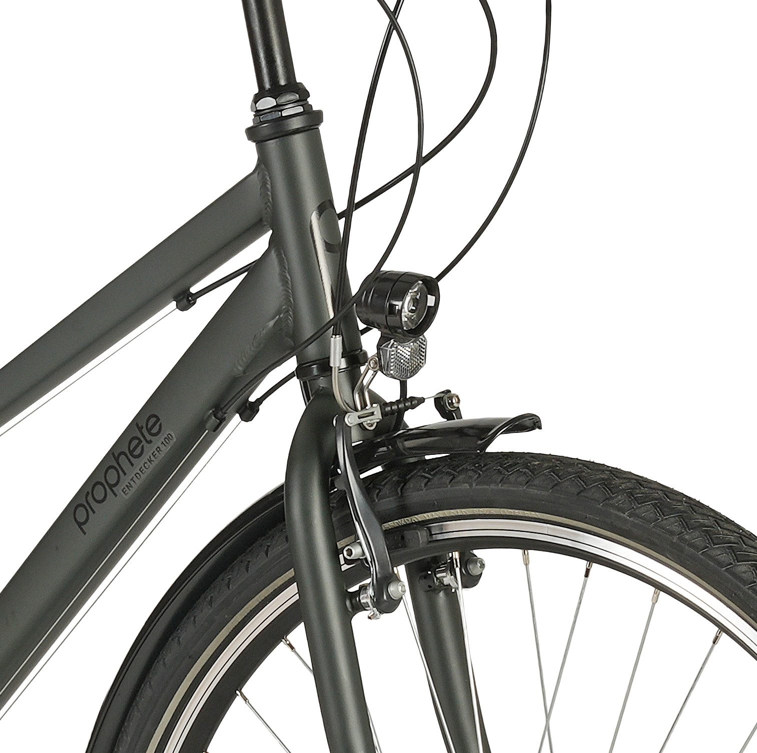 Prophete Trekkingrad Prophete Entdecker 100, 18 Gang Shimano, Kettenschaltung