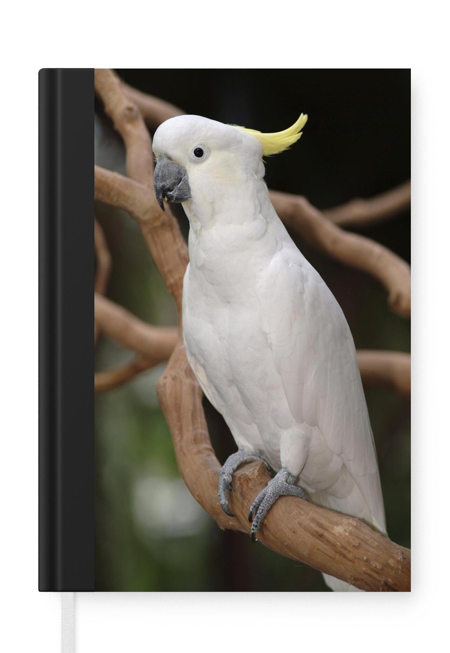 MuchoWow Notizbuch Weißer Kakadu mit gelbem Kamm in einem Baum, Journal, Merkzettel, Tagebuch, Notizheft, A5, 98 Seiten, Haushaltsbuch