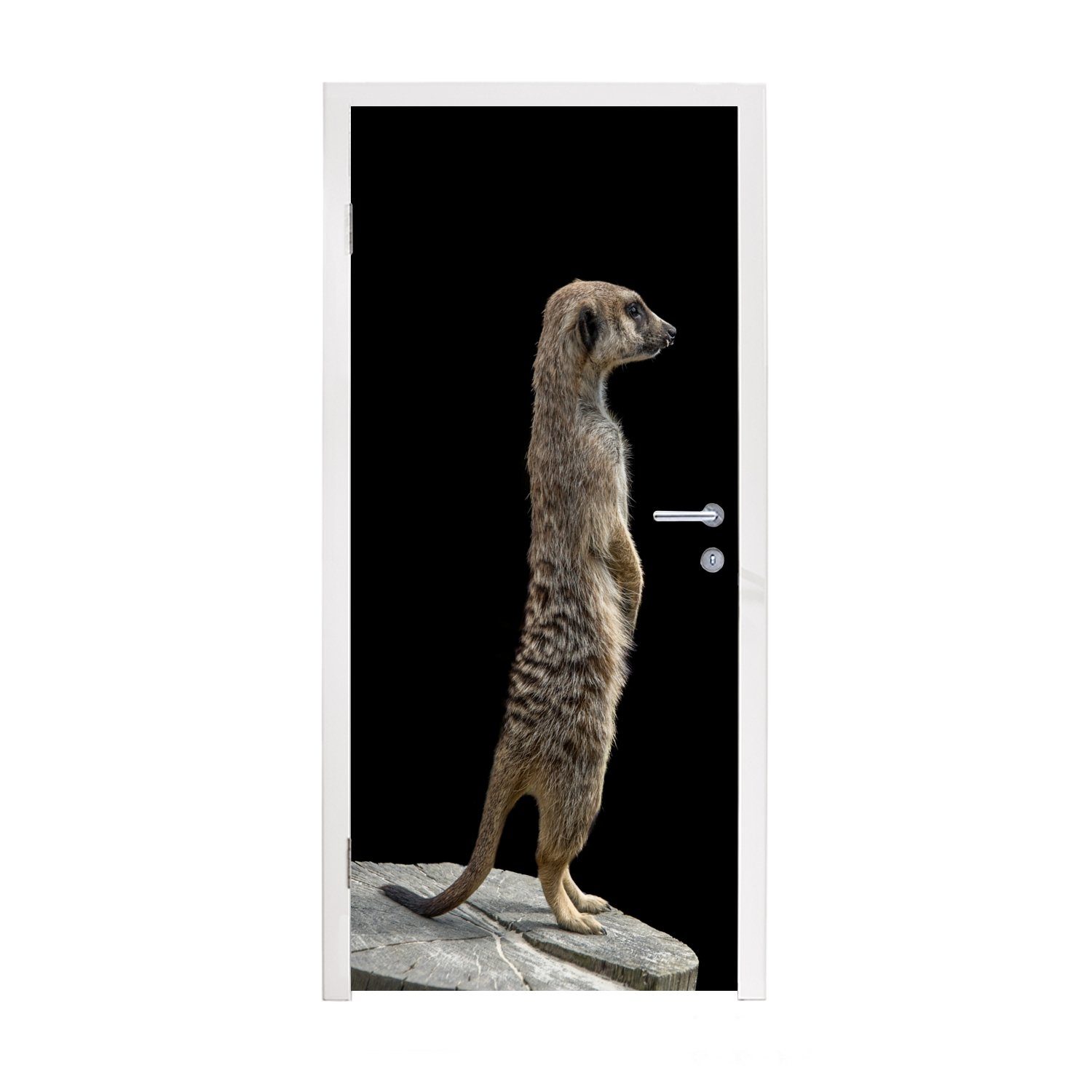 MuchoWow Türtapete Erdmännchen - Wilde Tiere - Schwarz, Matt, bedruckt, (1 St), Fototapete für Tür, Türaufkleber, 75x205 cm