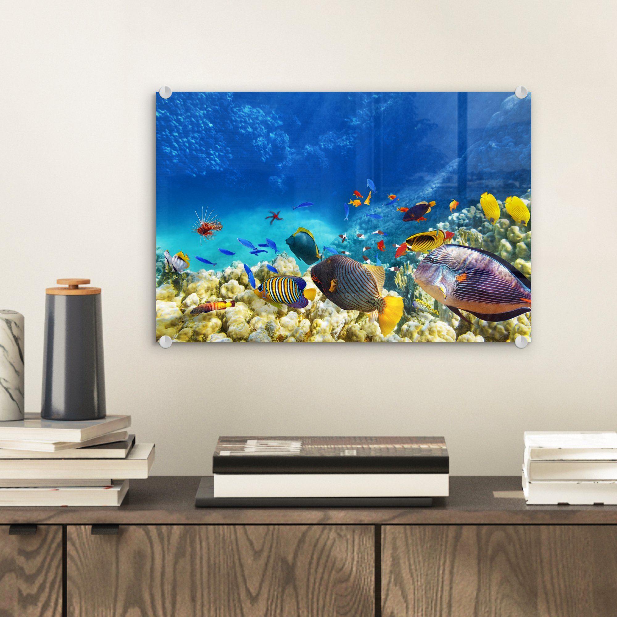 Meer MuchoWow Fische - Acrylglasbild Glas (1 Korallen St), - auf Bilder - Glasbilder - Wandbild Wanddekoration Unterwasserwelt, - - Glas auf Foto