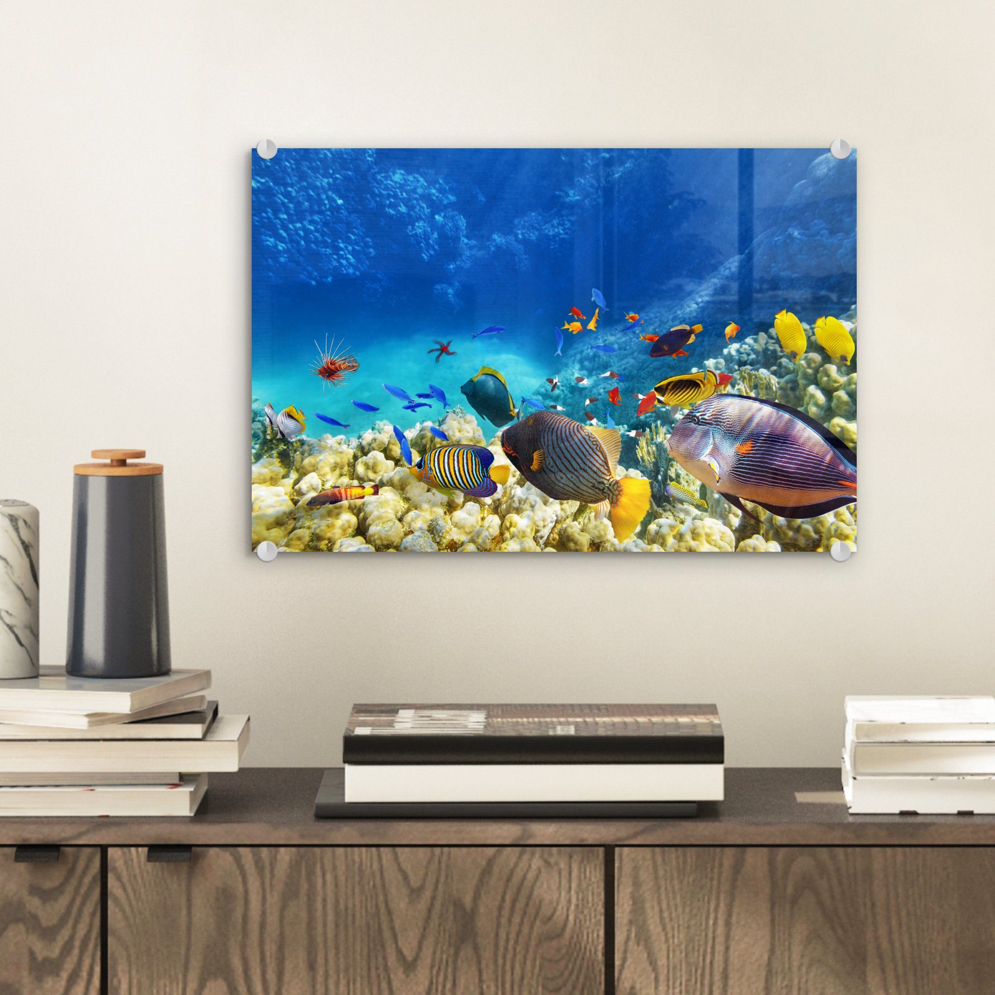 Korallen Acrylglasbild Wandbild - Fische auf St), Bilder Wanddekoration Glasbilder - - Glas MuchoWow Foto auf - - Meer Glas - (1 Unterwasserwelt,