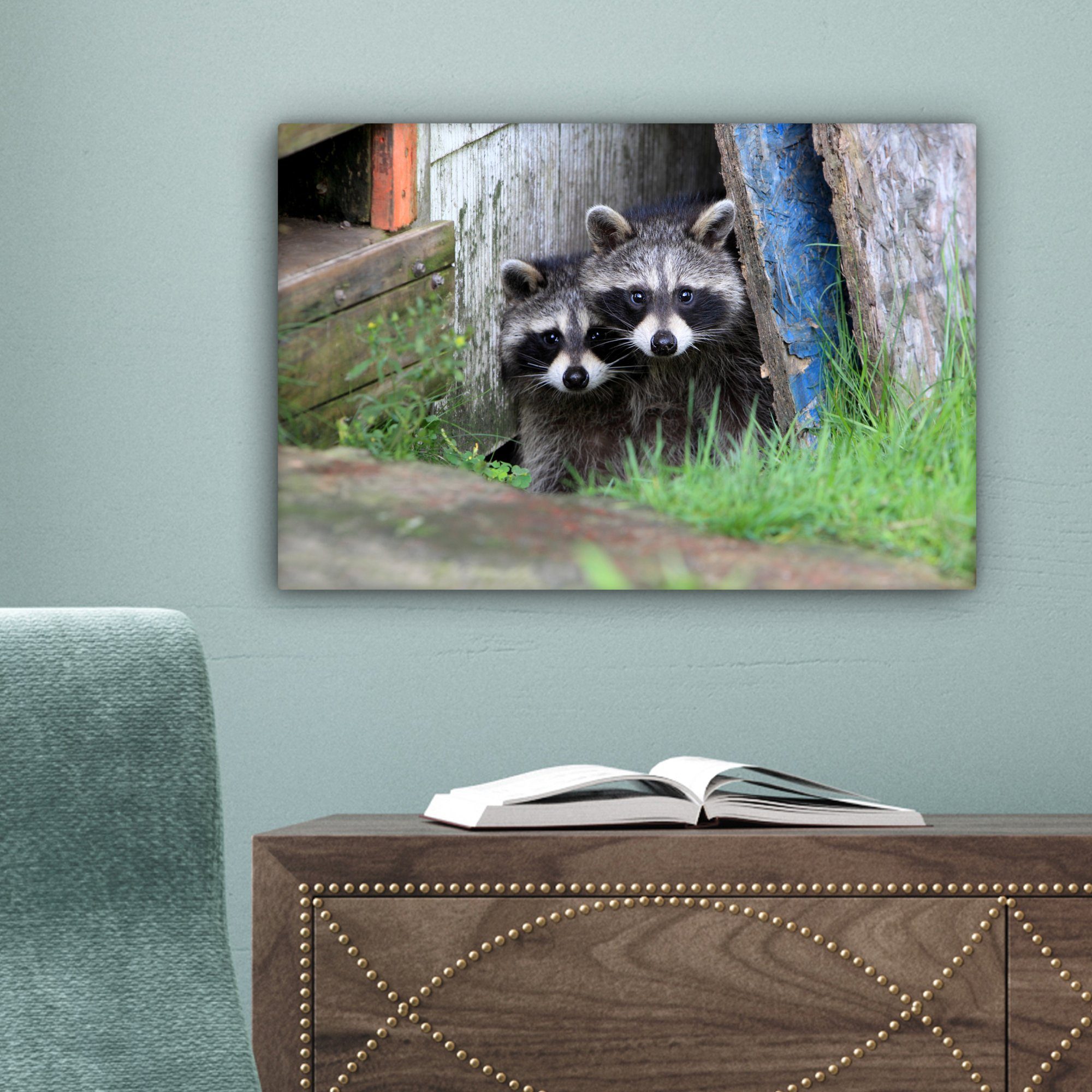 OneMillionCanvasses® Leinwandbild 30x20 Tiere - Wandbild - Waschbär Natur, Aufhängefertig, Leinwandbilder, cm Wanddeko, (1 St)