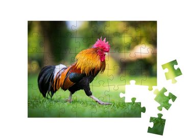 puzzleYOU Puzzle Hahn stolziert über eine Wiese, 48 Puzzleteile, puzzleYOU-Kollektionen Hähne, Bauernhof-Tiere