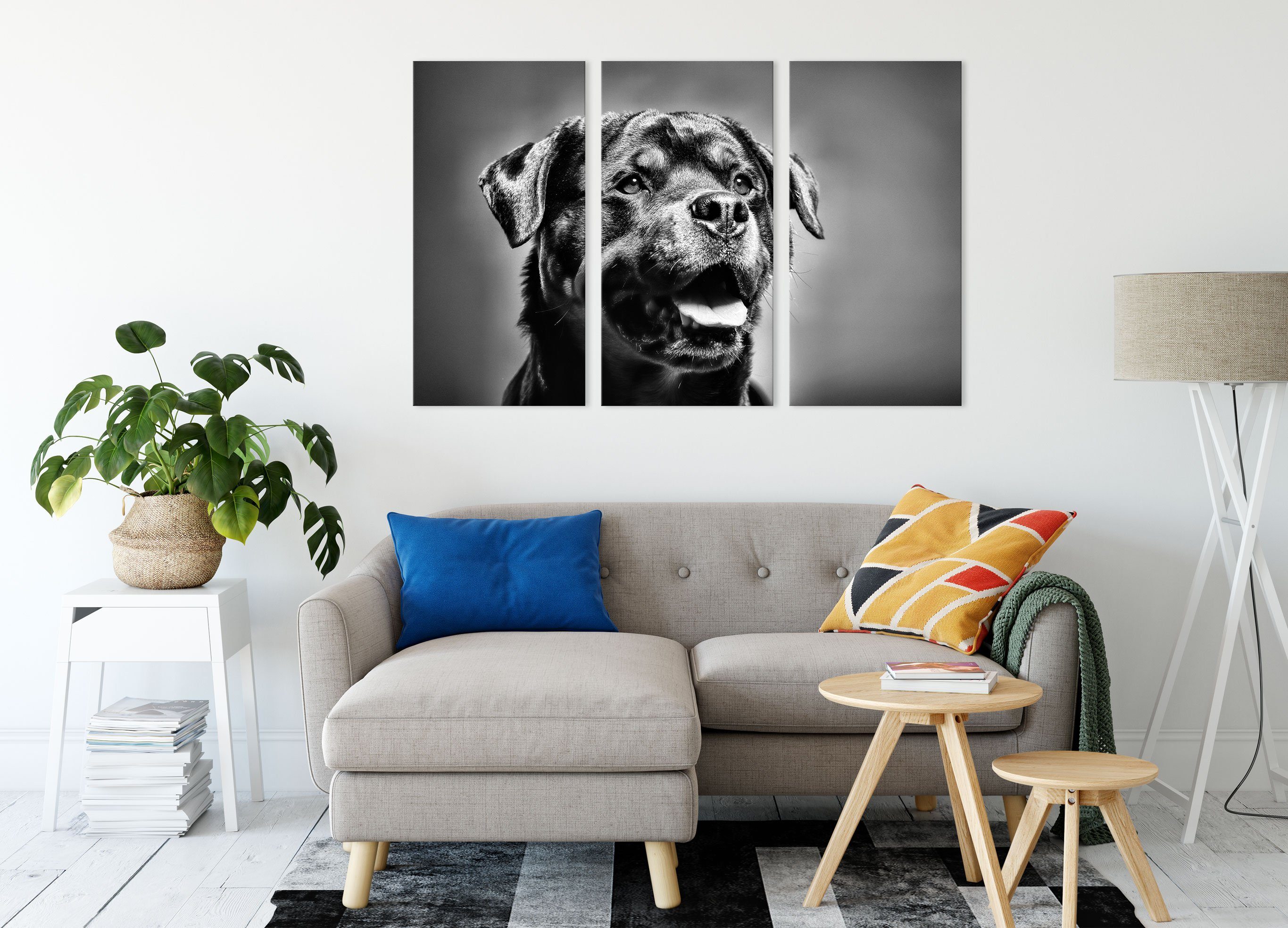(120x80cm) Rottweiler Pixxprint St), (1 3Teiler inkl. Leinwandbild bespannt, fertig Rottweiler, Treuer Treuer Leinwandbild Zackenaufhänger