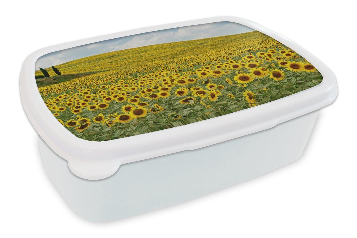 MuchoWow Lunchbox Sonnenblumen in der Toskana, Kunststoff, (2-tlg), Brotbox für Kinder und Erwachsene, Brotdose, für Jungs und Mädchen weiß