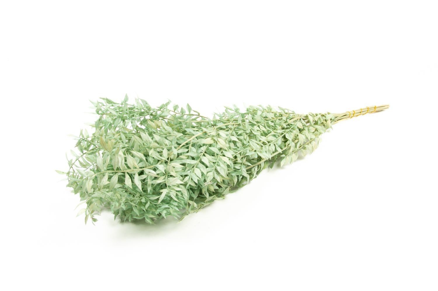 Trockenblume Ruscus Trockenzweige AGNIATA, minzgrün, 70-75cm, Ø17cm, INNA-Glas, Höhe 75.0 cm
