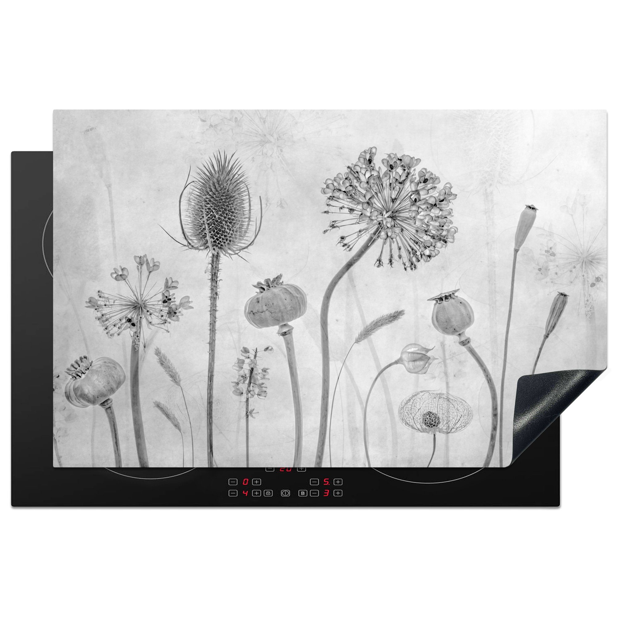 MuchoWow Herdblende-/Abdeckplatte Stilleben - Schwarz und weiß - Natur, Vinyl, (1 tlg), 81x52 cm, Induktionskochfeld Schutz für die küche, Ceranfeldabdeckung