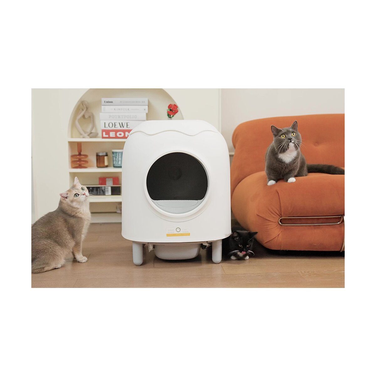 HHOLove Katzentoilette HHOLove iPet Smart Katzentoilette selbstreinigend & App