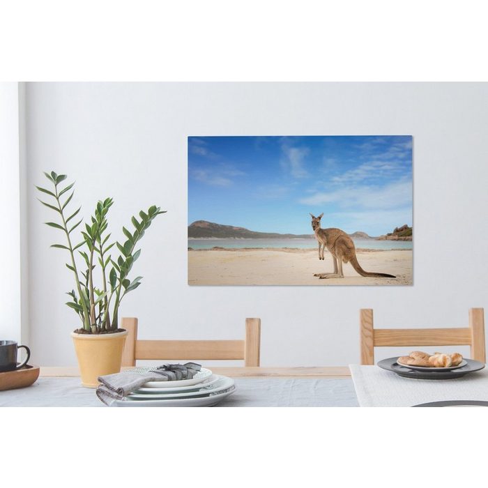 OneMillionCanvasses® Leinwandbild Strand - Känguru - Australien (1 St) Wandbild Leinwandbilder Aufhängefertig Wanddeko
