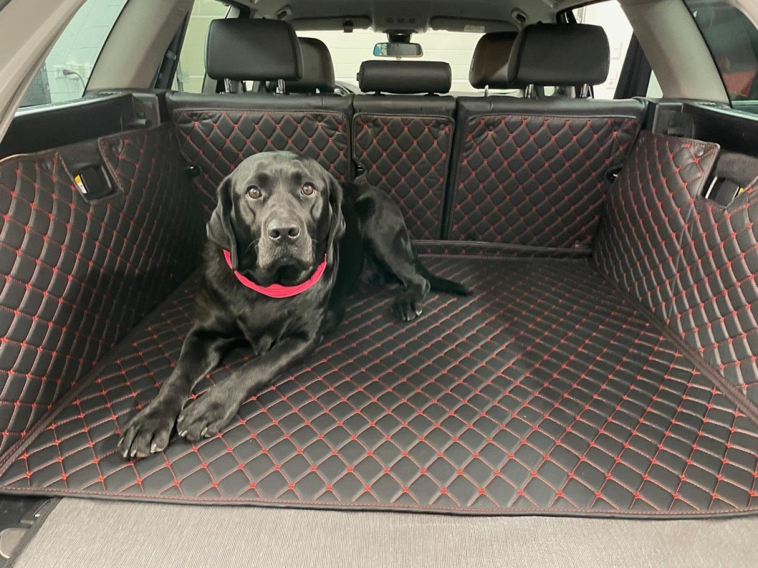 CARSTYLER® Kofferraummatte Kofferraumschutz Hund Für Audi Q5 Q5 e