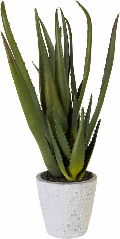 Kunstpflanze Aloe, Creativ green, Höhe 44 cm