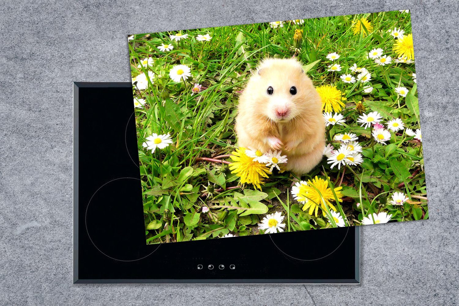 MuchoWow Herdblende-/Abdeckplatte Hamster zwischen Ceranfeldabdeckung Vinyl, Arbeitsfläche 70x52 nutzbar, Mobile Blumen, (1 tlg), cm